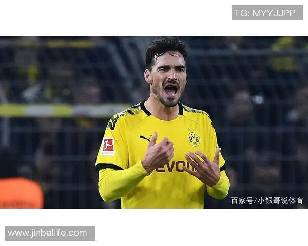 足球球星宠物狗大揭秘：他们的毛茸茸伙伴们背后的故事